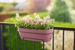 vibia campana balconnière allin1 50cm Rose poussière